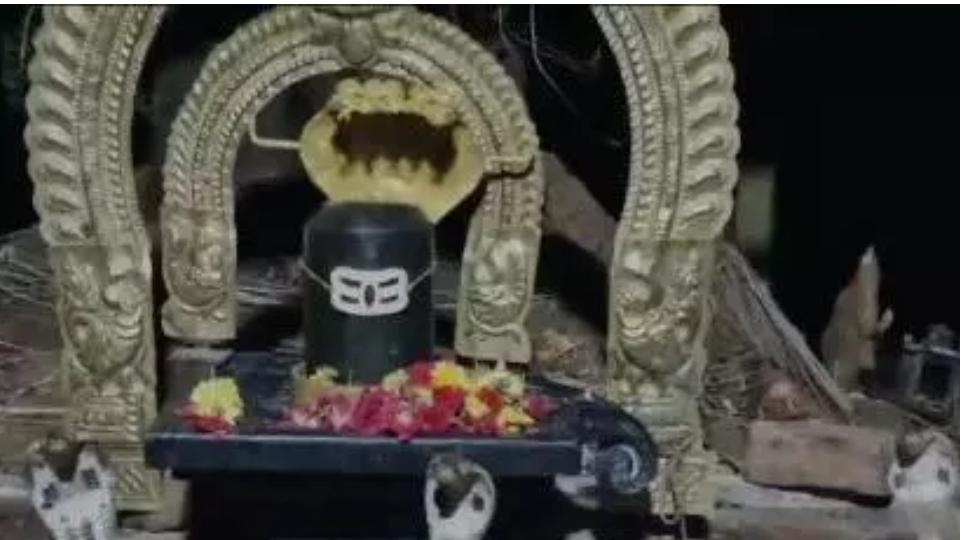 3 Snakes Spotted at Shiva Temple in Nellore, Andhra