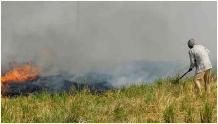 Madhya Pradesh bans stubble burning