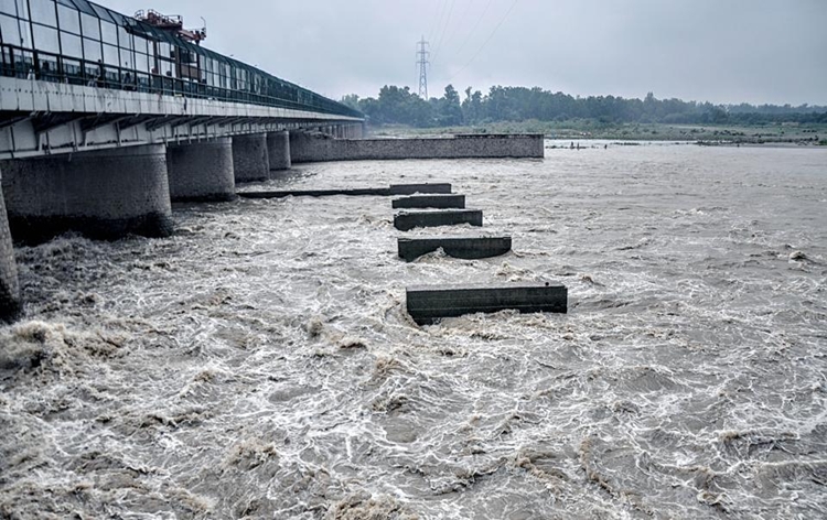 waterlevelinyamunarivercontinuouslyrisingduetoheavyrainfallinnorthernpartofindia