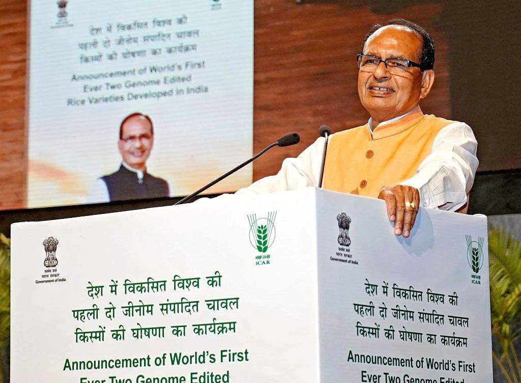 India becomes 1st country in world to develop genome-edited rice varieties