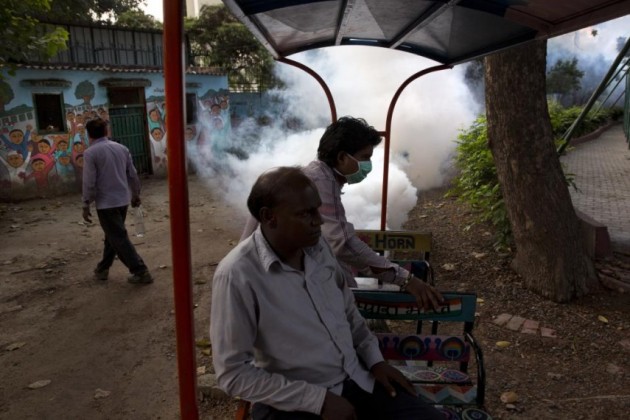 10210chikungunyacasesindelhi38percentriseoverlastweek