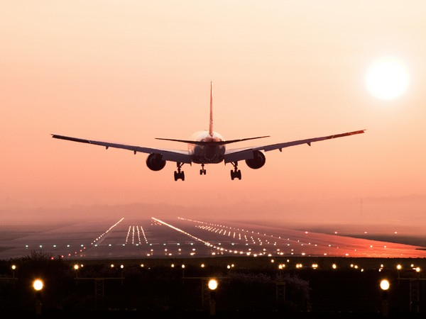fullemergencydeclaredatindiragandhiairportindelhiasdubaiboundplanesuffersbirdhit