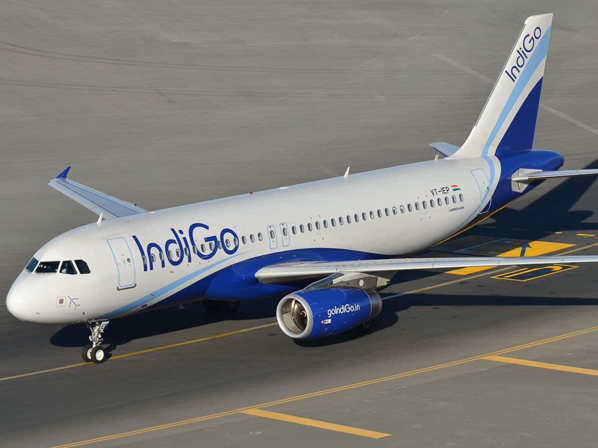 indigoflightsuffersbirdhitatmangaluruairporttakeoffaborted