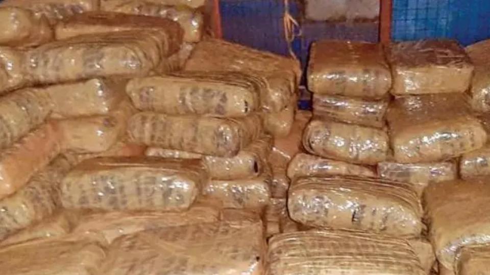 Odisha Police Seize 128 Kg Ganja Consignment Destined for Andhra
