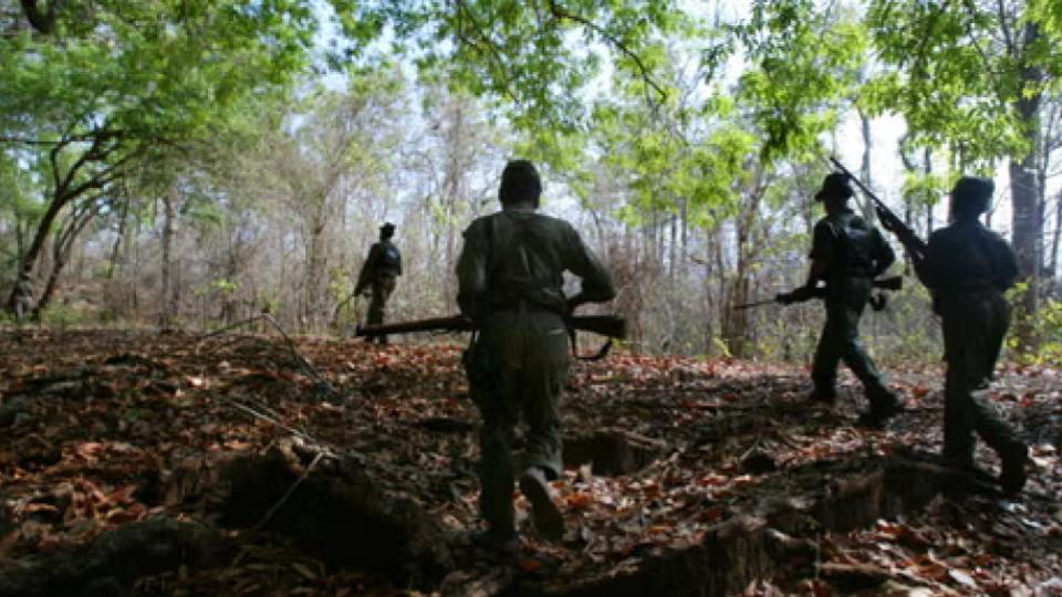 Fifty One Naxalites Surrender In Chhattisgarh