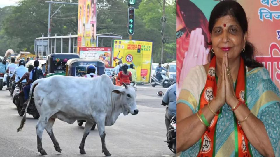 BJP Councillor Seriously Injured After Stray Cow Attack in Delhi