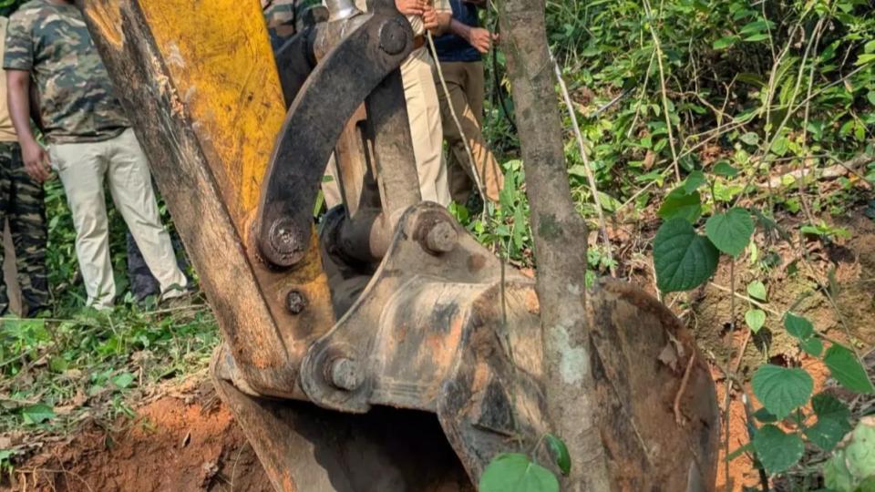 Quick Action By Karnataka Forest Officials Saves Elephant Stuck In Well