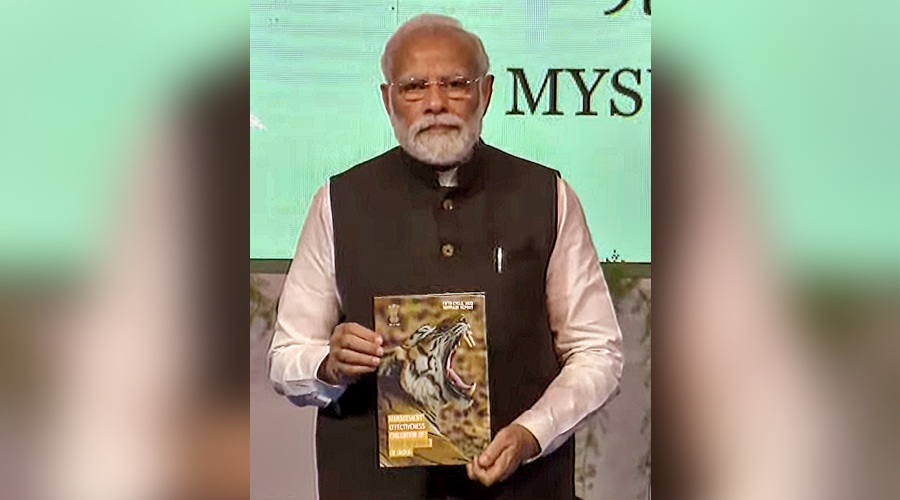 pmmodireleasestigercensusreport
