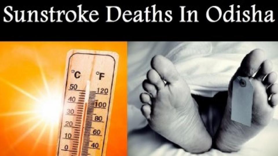 20 Dead Due To Heatstroke In Odisha In 3 Days