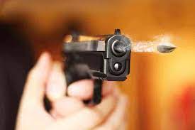 BSF jawan shoots himself dead in J-K