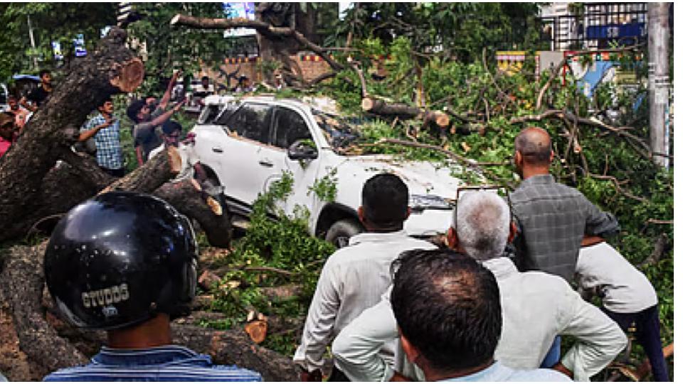 stormkills33inuttarpradeshcmyogiordersrelief
