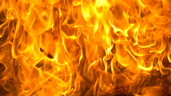 fireingodowninnorthwestdelhi