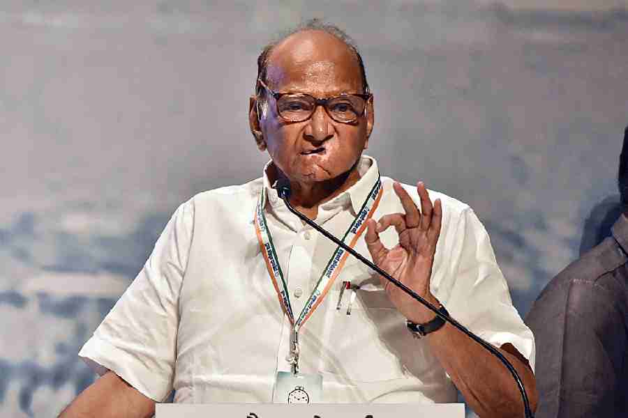 No difference between Putin and Modi, says Sharad Pawar