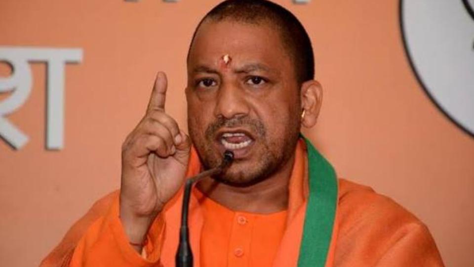 Yogi 