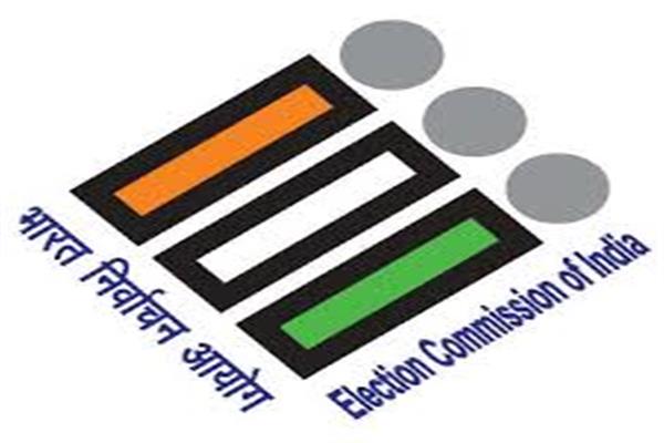 fivepollingstationsinshaheenbaghputundercriticalcategory:delhiceo