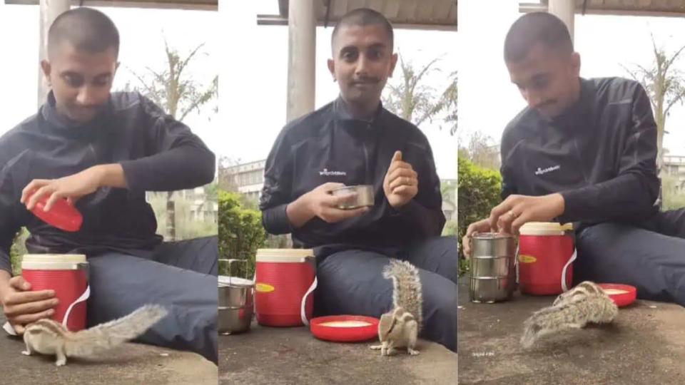 Man’s lunchtime with squirrel melts hearts online