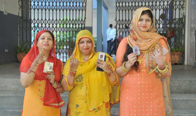 nearly25percentpollingtillnooninharyana
