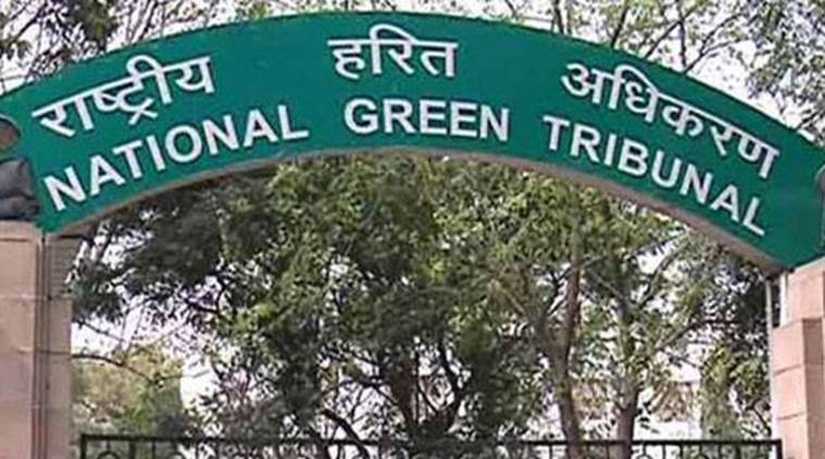constructionactivitiestobeprohibitedwithin50mtsfromriverganga:ngt