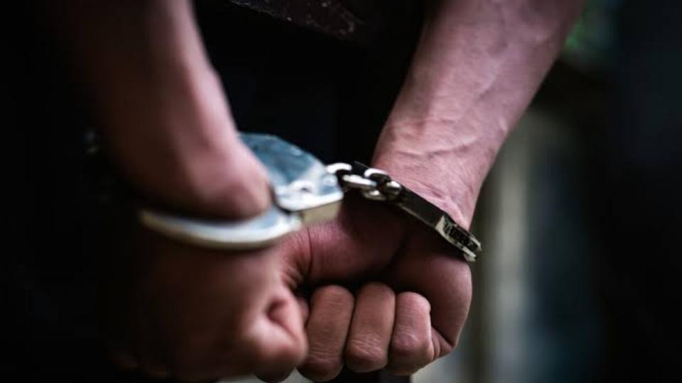 Assam Police seize 344 kg cannabis worth Rs 1.72 cr, one arrested