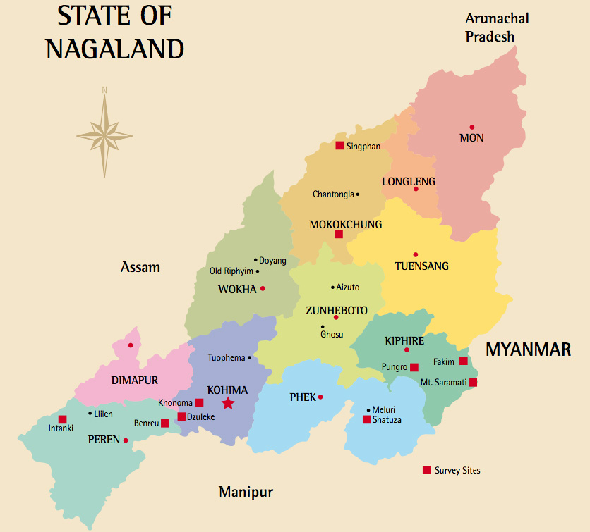 nagaland:byelectionto10northernangami1assemblyconstituencystartstoday