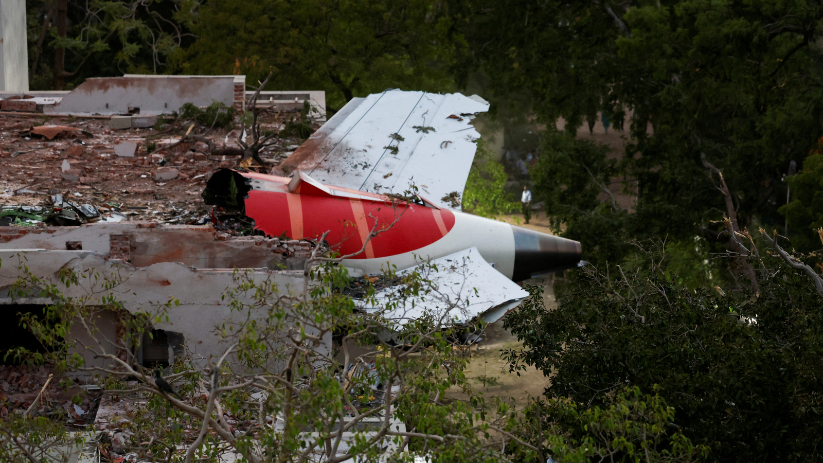 Ahmedabad Plane Crash: 208 DNA matched