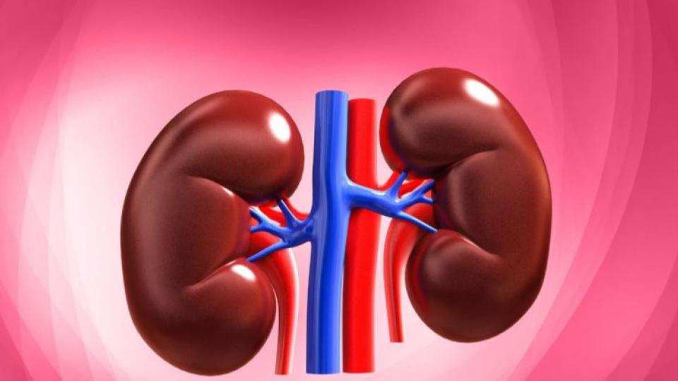 Woman Who Went to Sell Kidney Dies During Surgery in Vizag