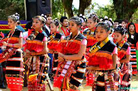 gaanngaifestivalofzeliangrongcommunitytobecelebratedon4thjanuary