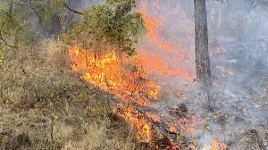 Wildfires flare up again in Uttarakhand 