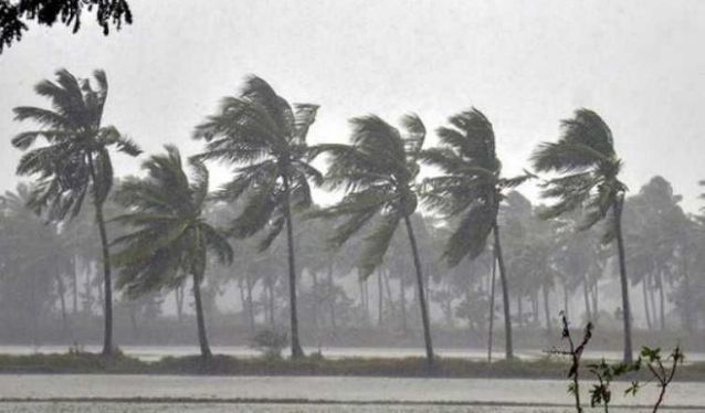 cyclonefani:odishaclosesschoolscolleges