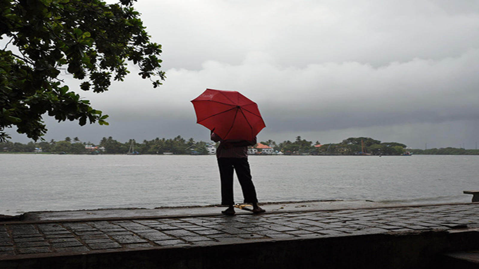 Monsoon expected to hit Kerala in next 24 hours: IMD