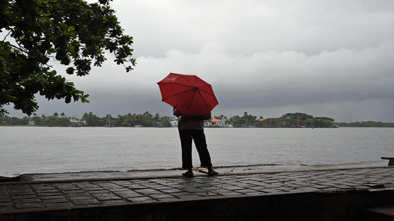 monsoonexpectedtohitkeralainnext24hours:imd