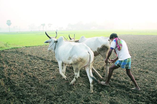 maharashtrafarmersplanningstrikefromjune1