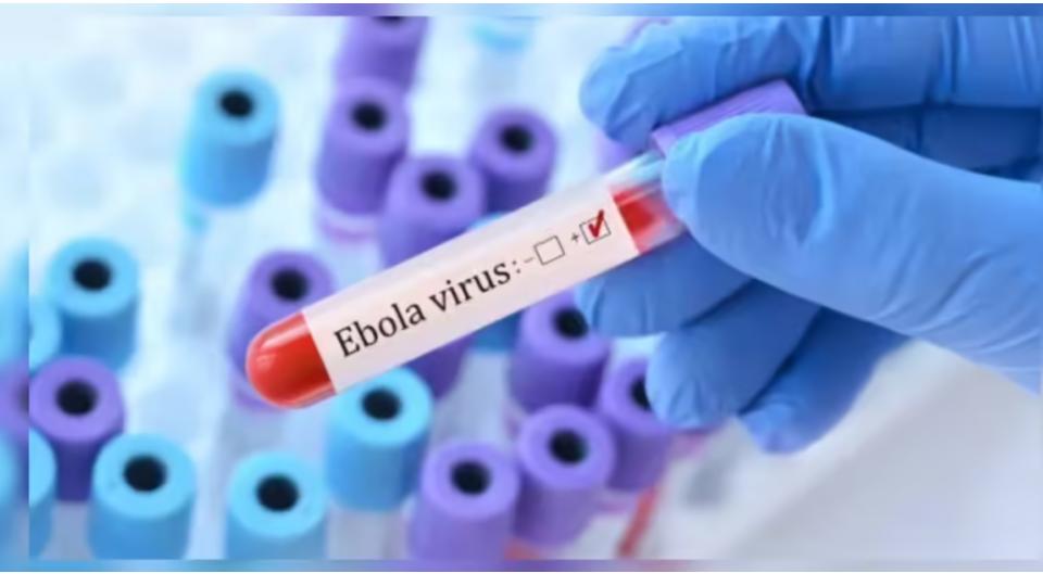 indiaandafricapostponessummitmeetingebolaoutbreak