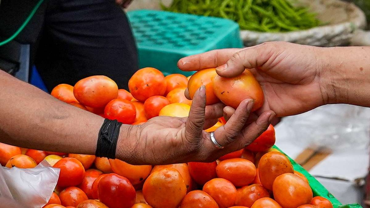 centregovttosourcetomatoesfromandhrakarnatakaandmaharashtra