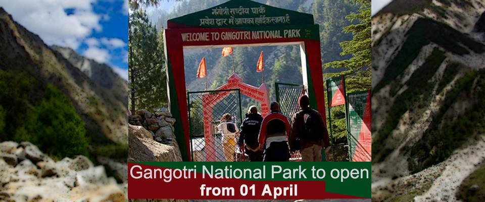 gangotrinationalparkopensfortourists
