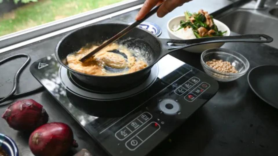 Govt Discusses Ways To Scale Up Production Of Induction Heater