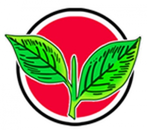 ecfreezesaiadmkselectionsymboltwoleaves