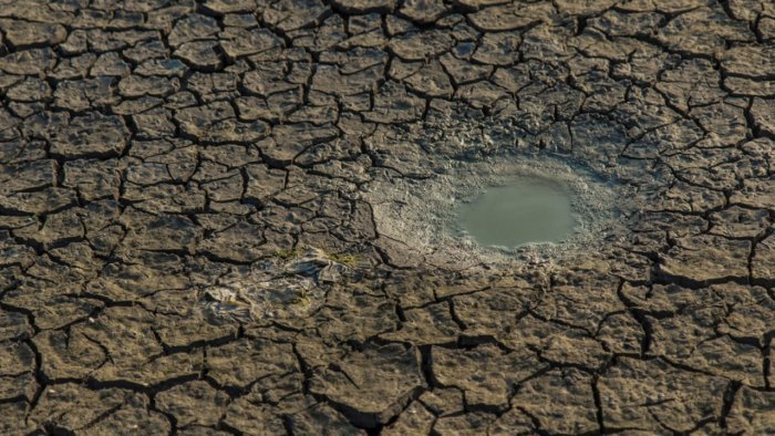 jharkhand:severaldistrictsraindeficitbymorethan35%farmersfacingdroughtlikesituation