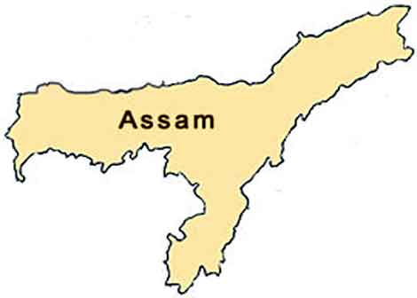 assamgovtseeks600companiesofarmedforcesforupcomingassemblypolls