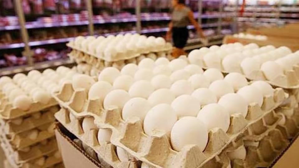 Eggs available in India are safe for human consumption, FSSAI