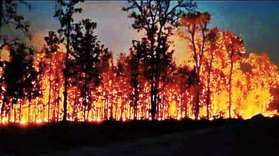 forestfiresbreakoutinsimilipaltigerreserveinodisha