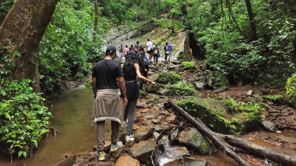Trekking Without Nature Guide Won