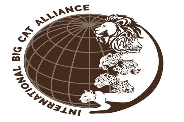 frameworkagreementonestablishmentofinternationalbigcatallianceofficiallycomesintoforce