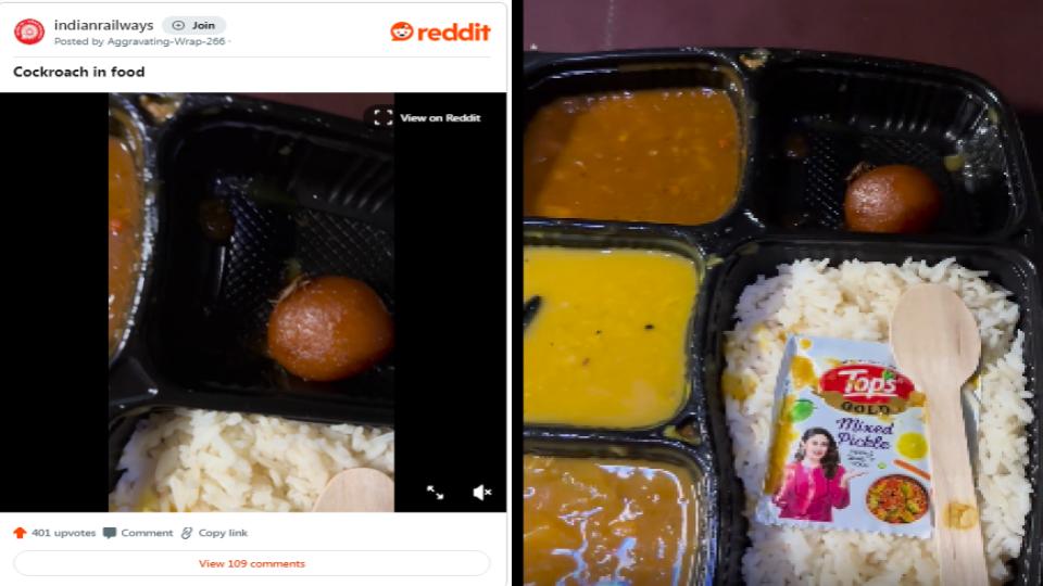 passengerclaimstofindlivecockroachservedinirctcfood