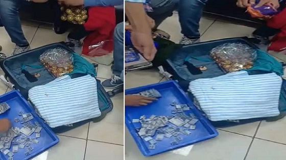 nearlytwokggoldendangeredtortoisesandecigarettesseizedatbengaluruairportthisweek