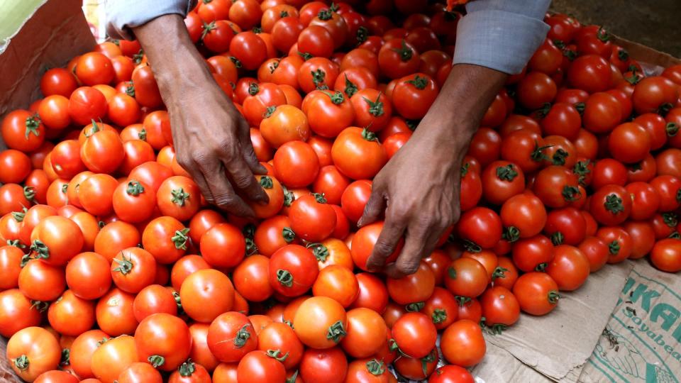 tomatopricestocooldownsoonsaysconsumeraffairssecretary