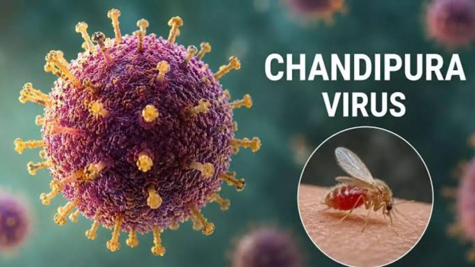 Gujarat records 42 Chandipura virus cases, 28 deaths 