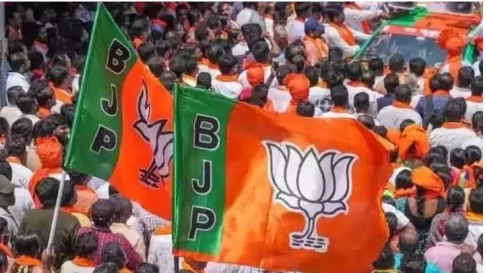 BJP Names Badlapur Sexual Abuse Case Co-Accused as Councillor