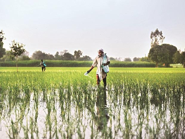 centreconstituteschiefministerspanelforagriculturereforms