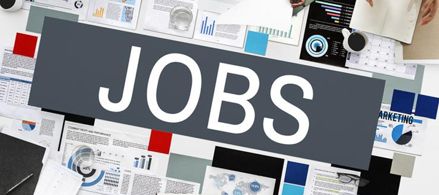 about25lakhnewjobstobecreatedinitsectorincomingmonths:govt